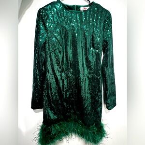 Sequin Feather Trim Long Sleeve Bodycon Mini Dress